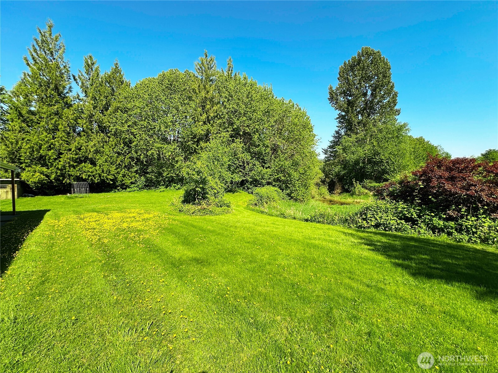3808 Hatley Road Everson WA 98247