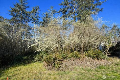 381 Dolphin Avenue NE Ocean Shores WA 98569