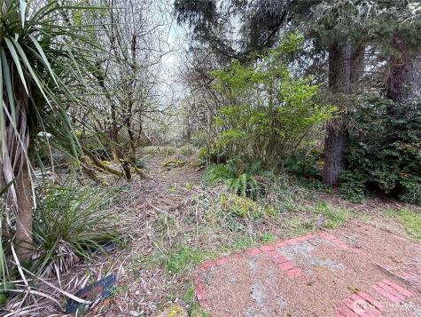 381 Dolphin Avenue NE Ocean Shores WA 98569