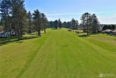 381 Dolphin Avenue NE Ocean Shores WA 98569