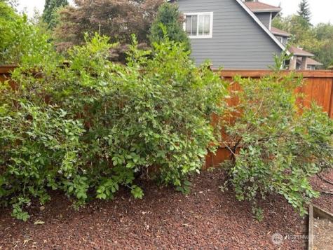 12312 9th Street E Edgewood WA 98372
