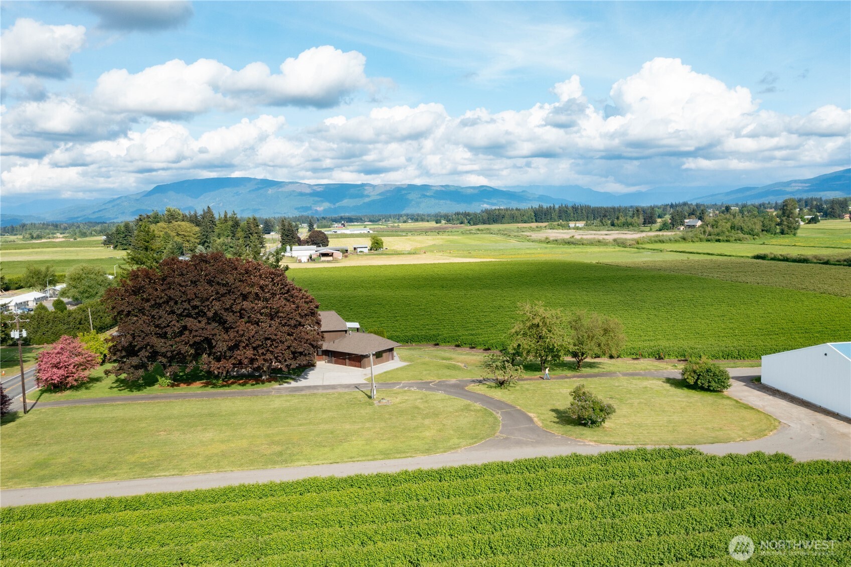 1133 E Pole Road Everson WA 98247