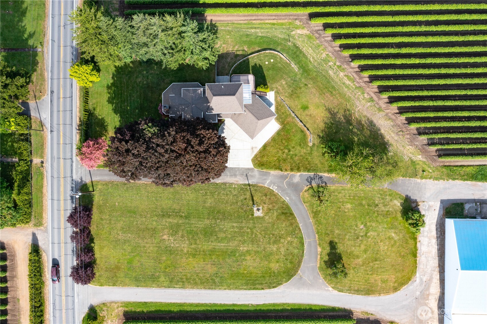 1133 E Pole Road Everson WA 98247