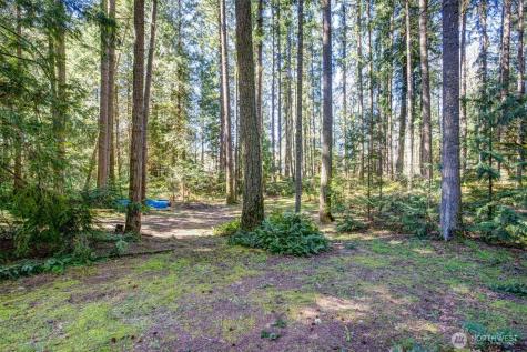 870 238th Avenue NE Sammamish WA 98074