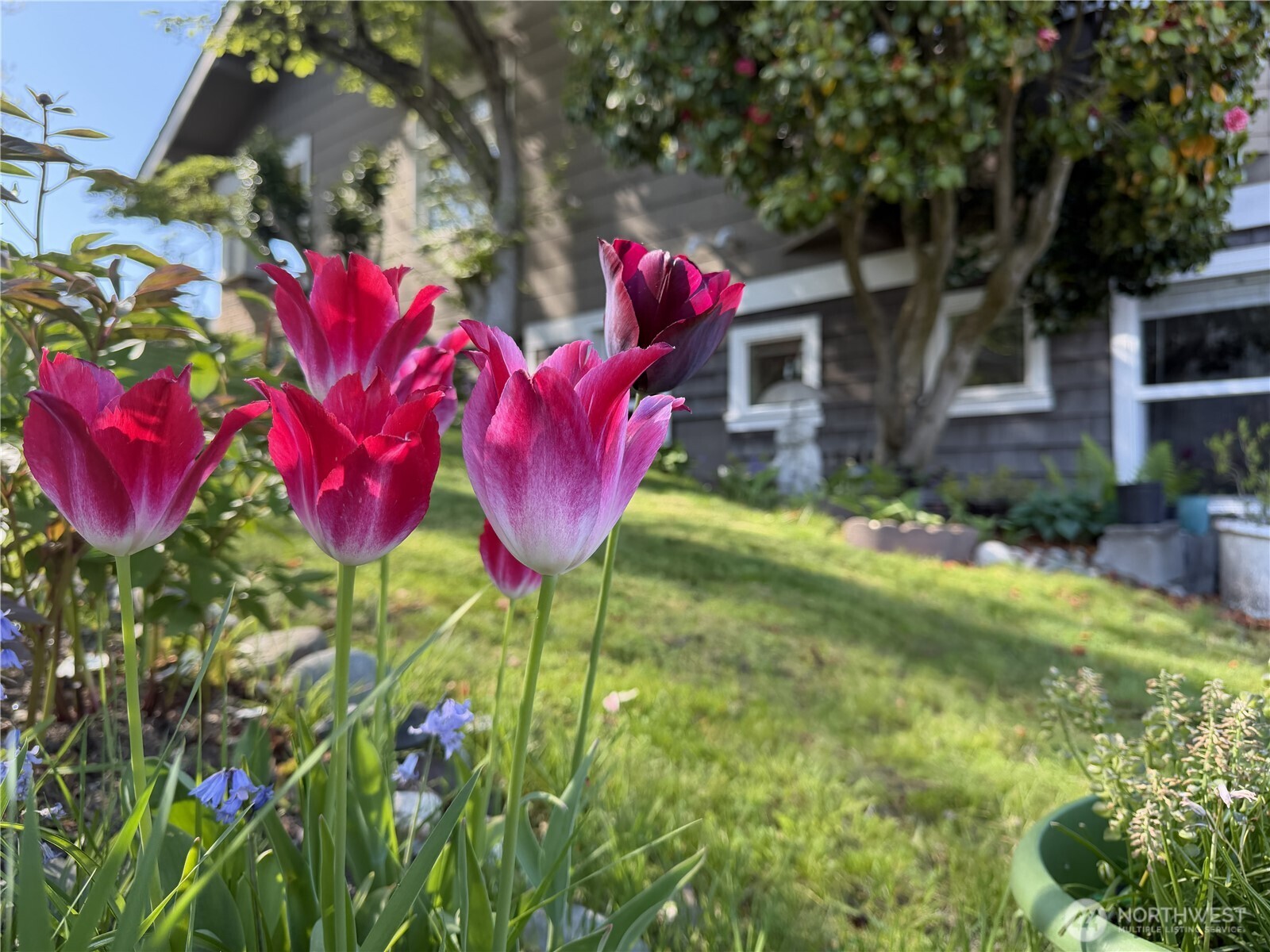 3231 Grand Avenue Everett WA 98201