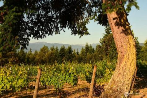 1673 Woodland Drive Port Townsend WA 98368