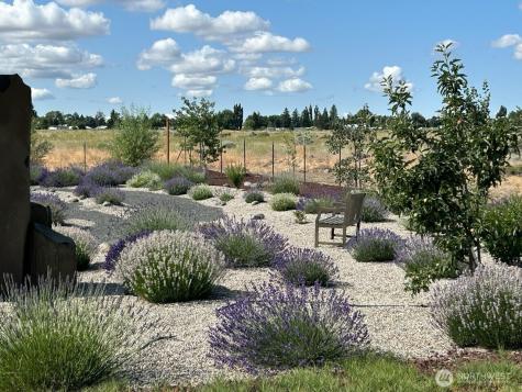 85 7th Avenue SW Soap Lake WA 98851