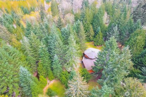 4601 292nd Street E Graham WA 98338
