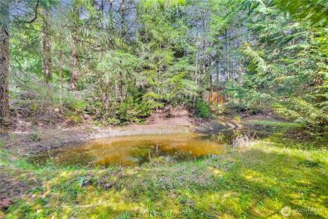 4601 292nd Street E Graham WA 98338