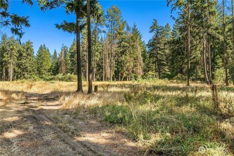 551 Pioneer Trail Cle Elum WA 98922