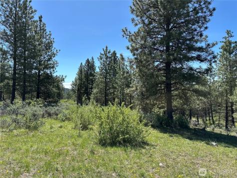 152 High Country Drive E Tonasket WA 98855