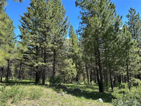 152 High Country Drive E Tonasket WA 98855