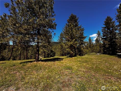 152 High Country Drive E Tonasket WA 98855