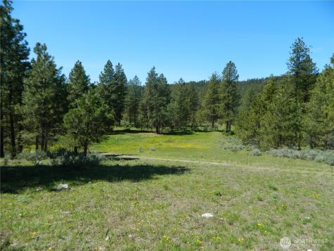 152 High Country Drive E Tonasket WA 98855