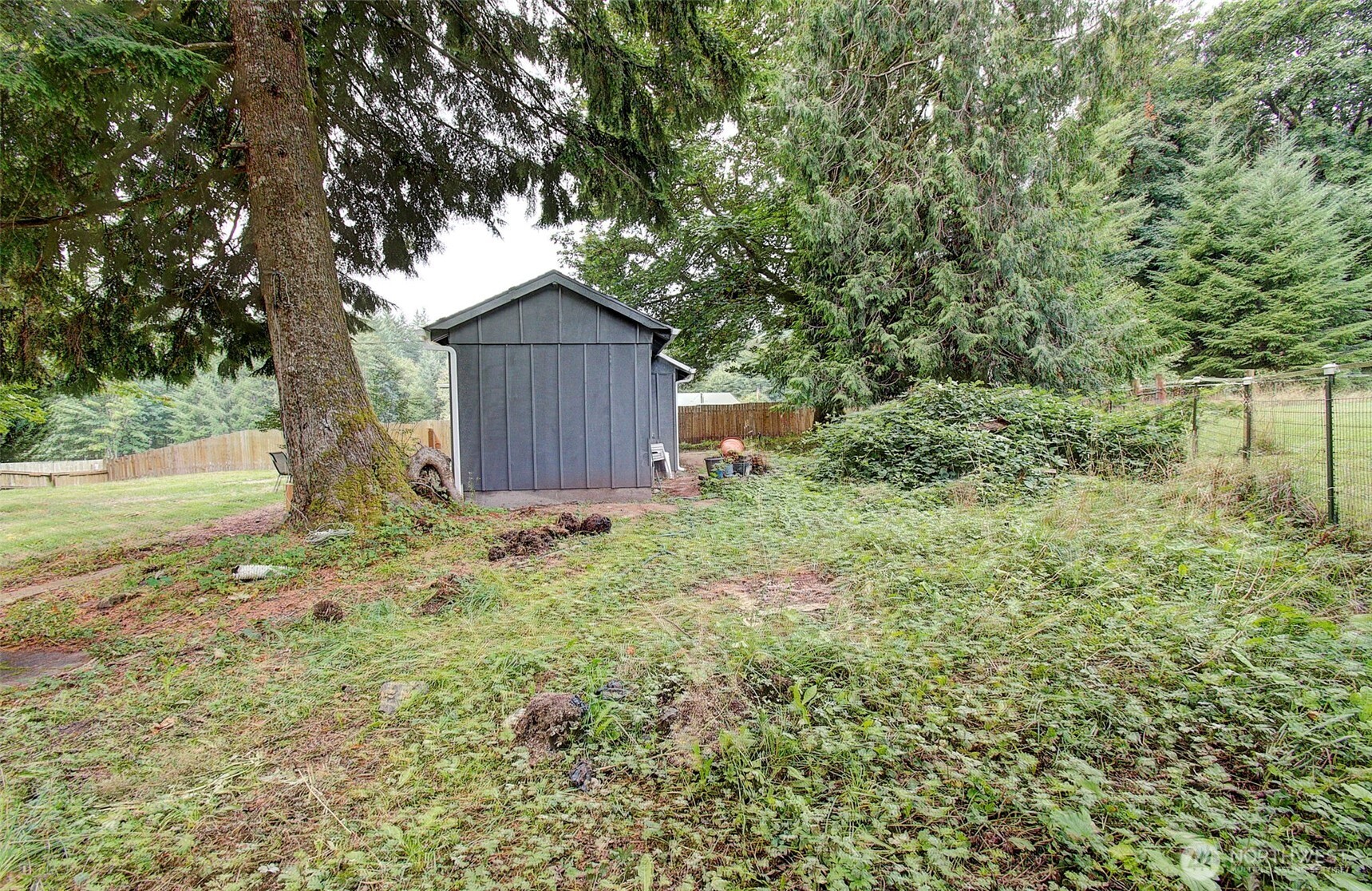 16790 Lewis River Road Cougar WA 98616