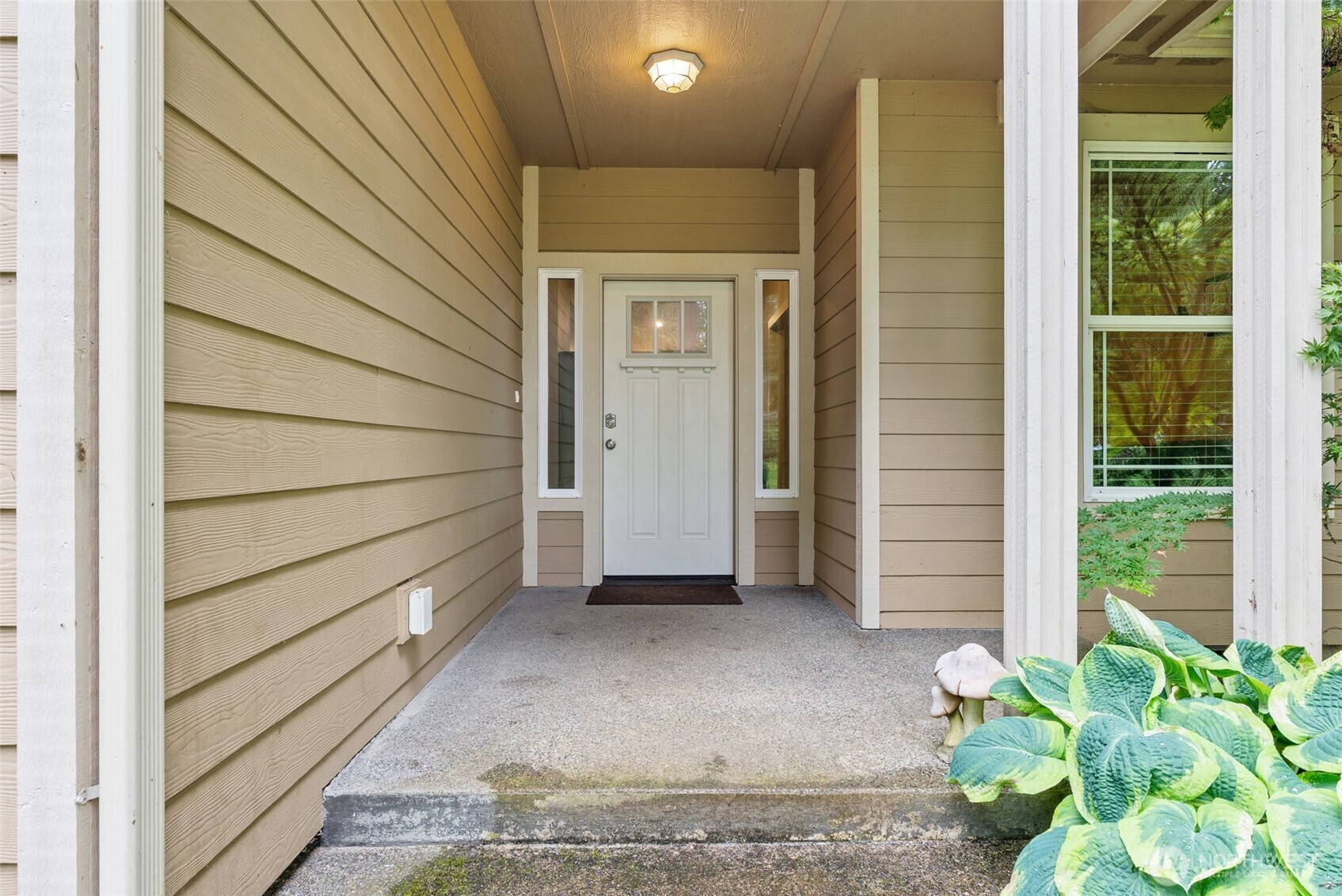 113 Hazel Drive Chehalis WA 98532