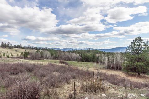 817 Dominion Springs Way Colville WA 99114