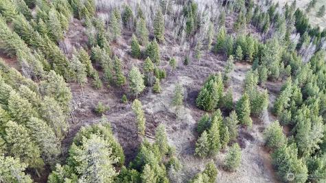 817 Dominion Springs Way Colville WA 99114