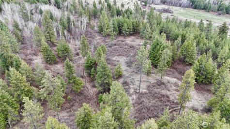 817 Dominion Springs Way Colville WA 99114