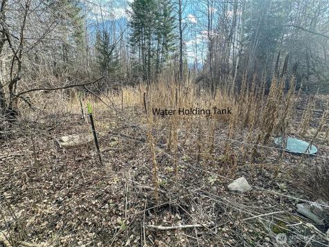 817 Dominion Springs Way Colville WA 99114