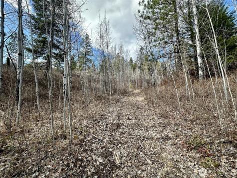817 Dominion Springs Way Colville WA 99114