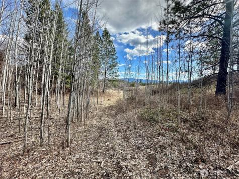 817 Dominion Springs Way Colville WA 99114