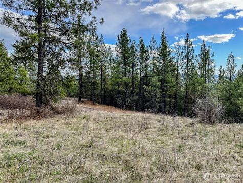 817 Dominion Springs Way Colville WA 99114