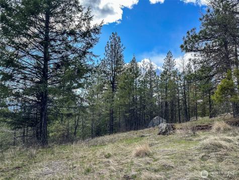 817 Dominion Springs Way Colville WA 99114