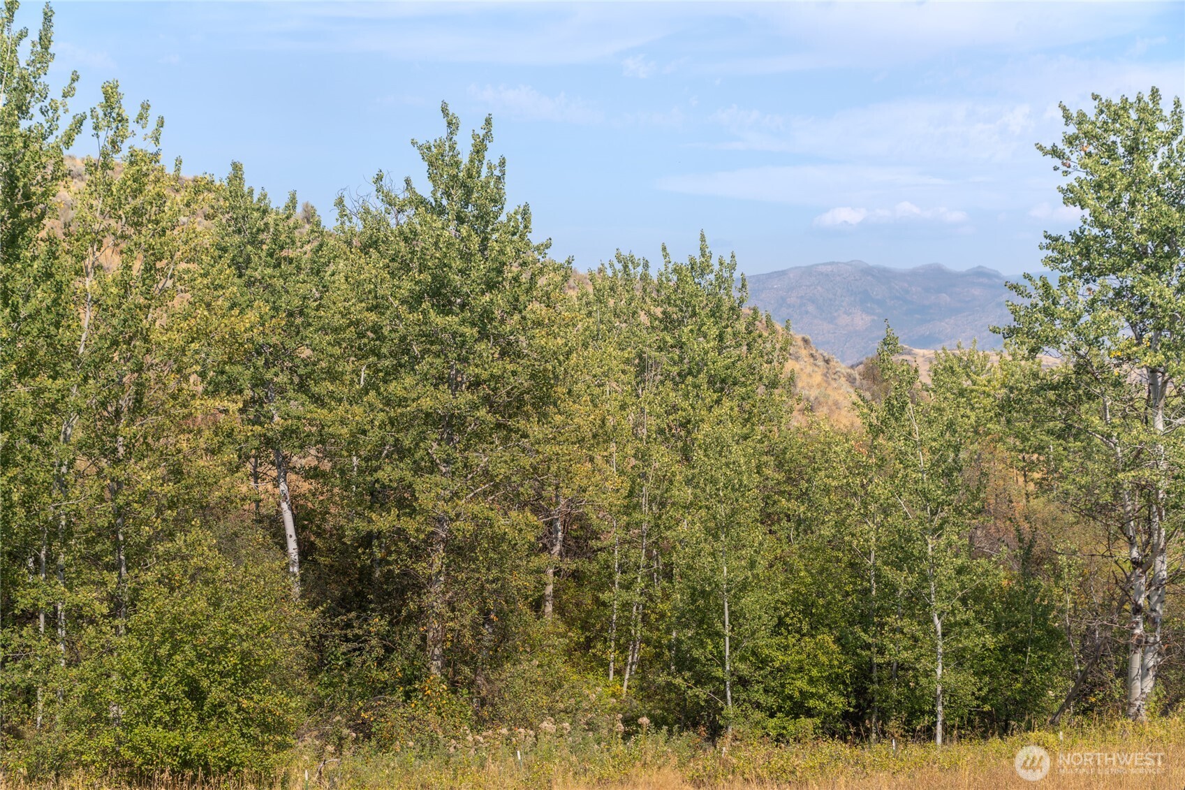 653 Ellemeham Mtn. Road Oroville WA 98844