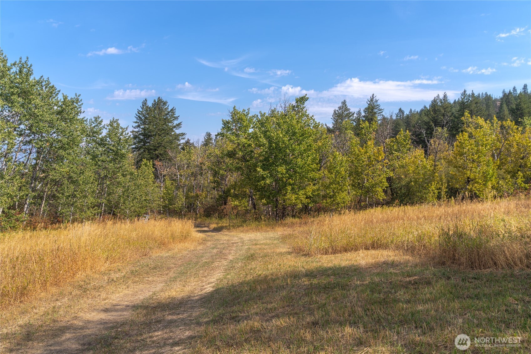 653 Ellemeham Mtn. Road Oroville WA 98844