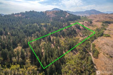 653 Ellemeham Mountain Road Oroville WA 98844