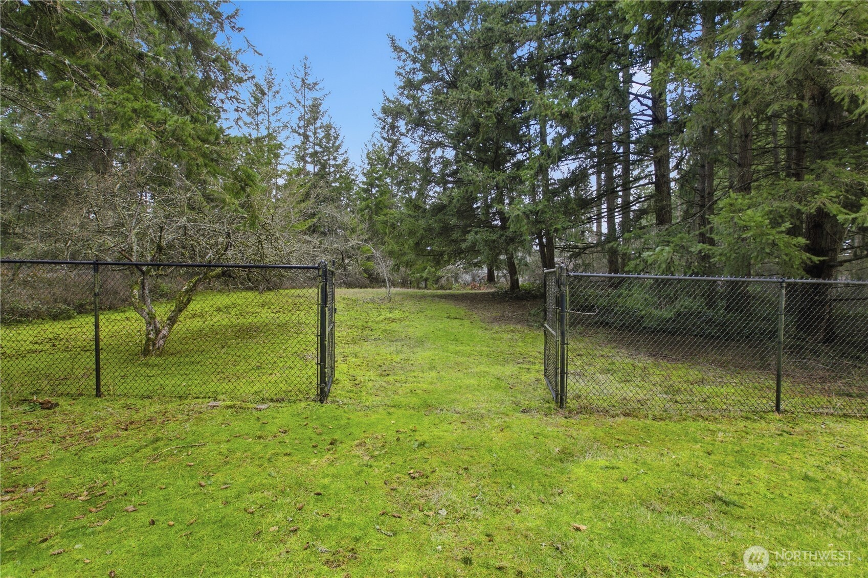 7316 Eustis Hunt Road Spanaway WA 98387