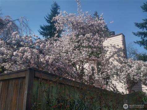 8129 NE 131st Street Kirkland WA 98034