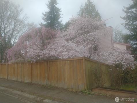 8129 NE 131st Street Kirkland WA 98034