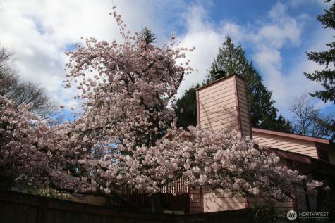 8129 NE 131st Street Kirkland WA 98034