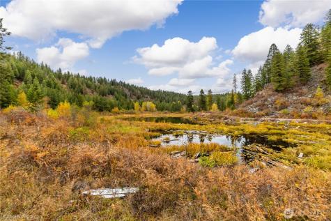 8 Camden Road Elk WA 99009