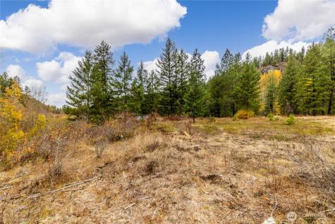 8 Camden Road Elk WA 99009