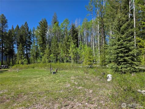 393 Summer Road Tonasket WA 98855