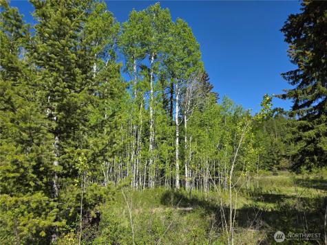 393 Summer Road Tonasket WA 98855
