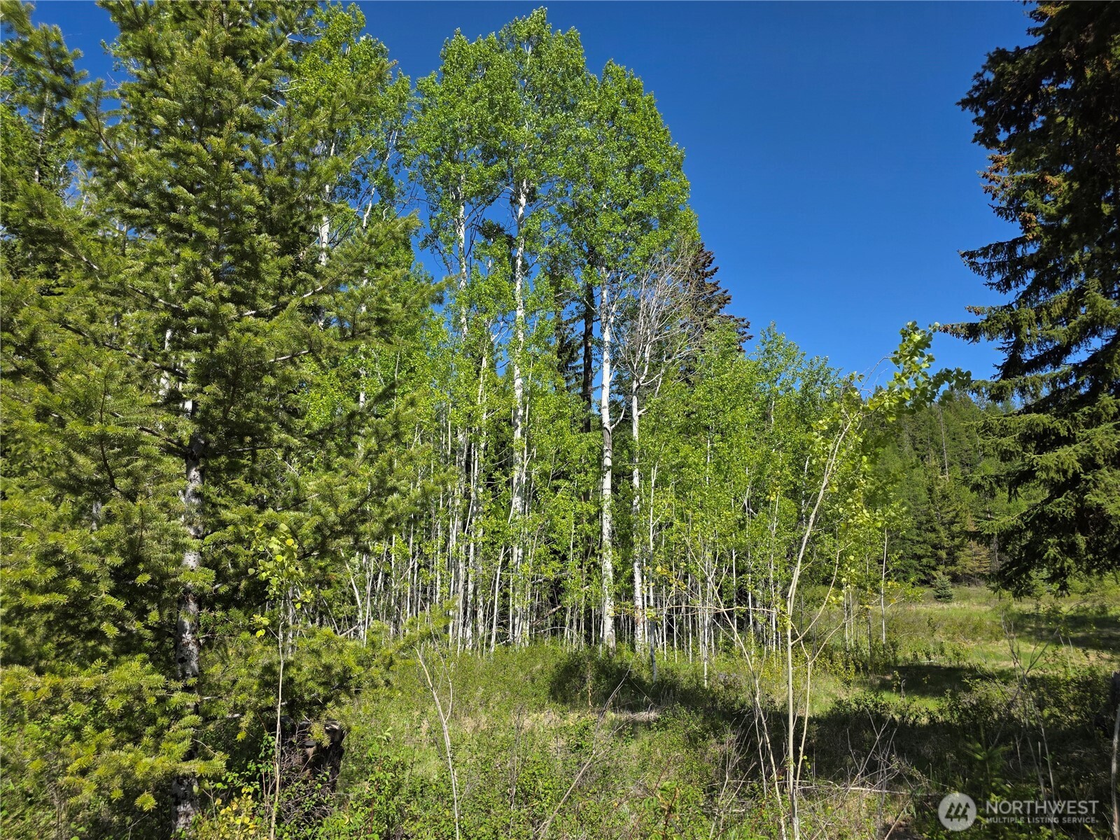 393 Summer Road Tonasket WA 98855