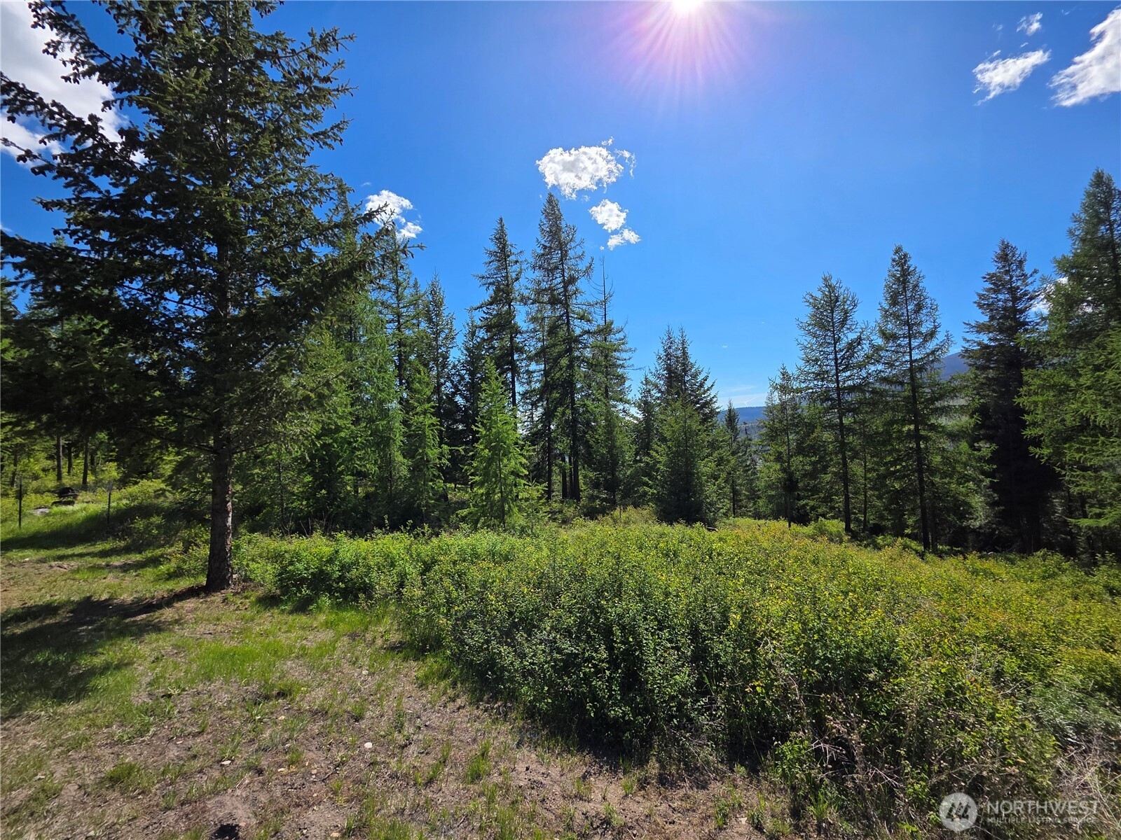 393 Summer Road Tonasket WA 98855