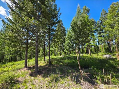 393 Summer Road Tonasket WA 98855