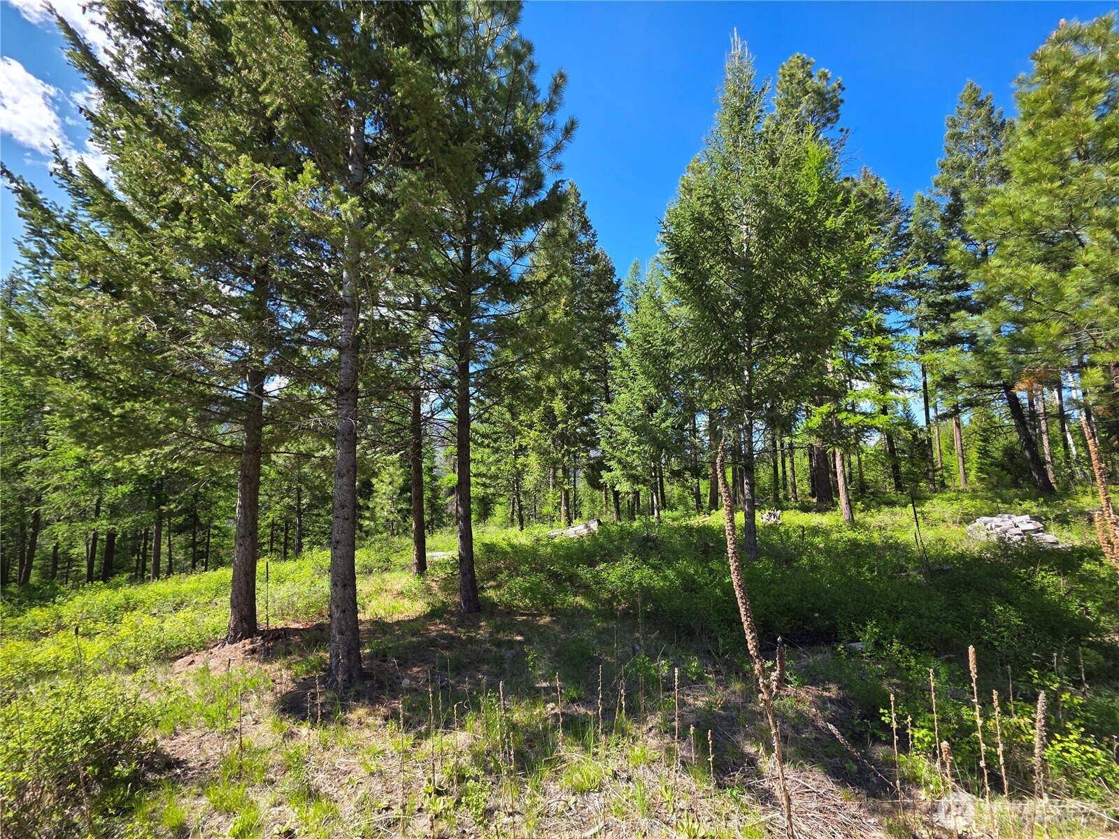 393 Summer Road Tonasket WA 98855