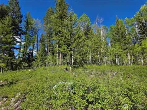393 Summer Road Tonasket WA 98855