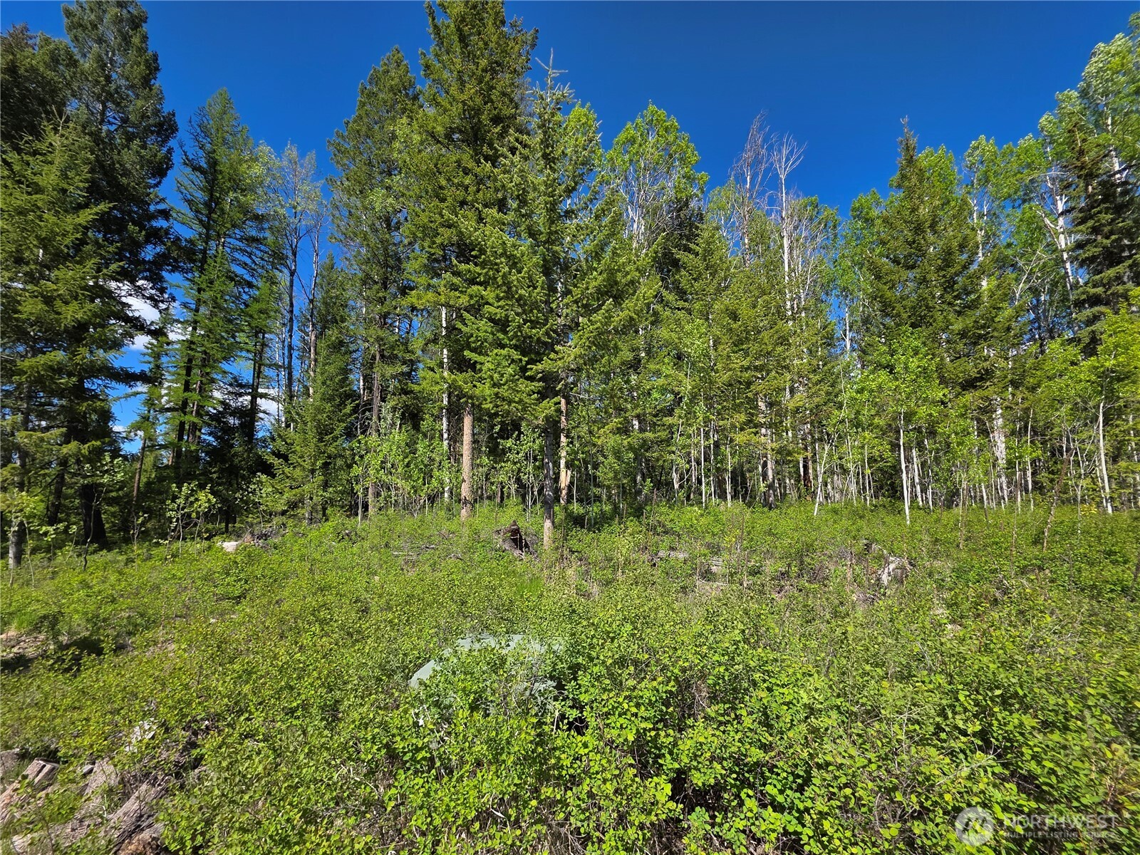 393 Summer Road Tonasket WA 98855