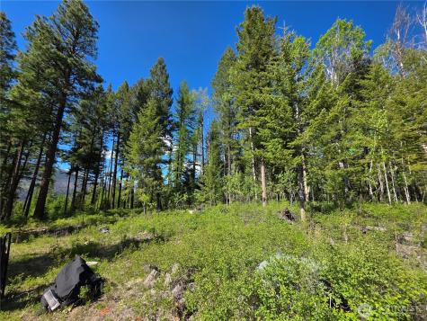 393 Summer Road Tonasket WA 98855