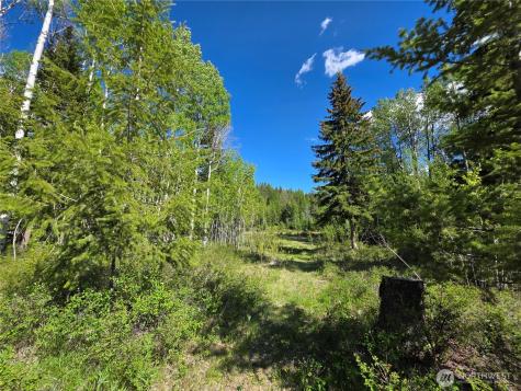 393 Summer Road Tonasket WA 98855