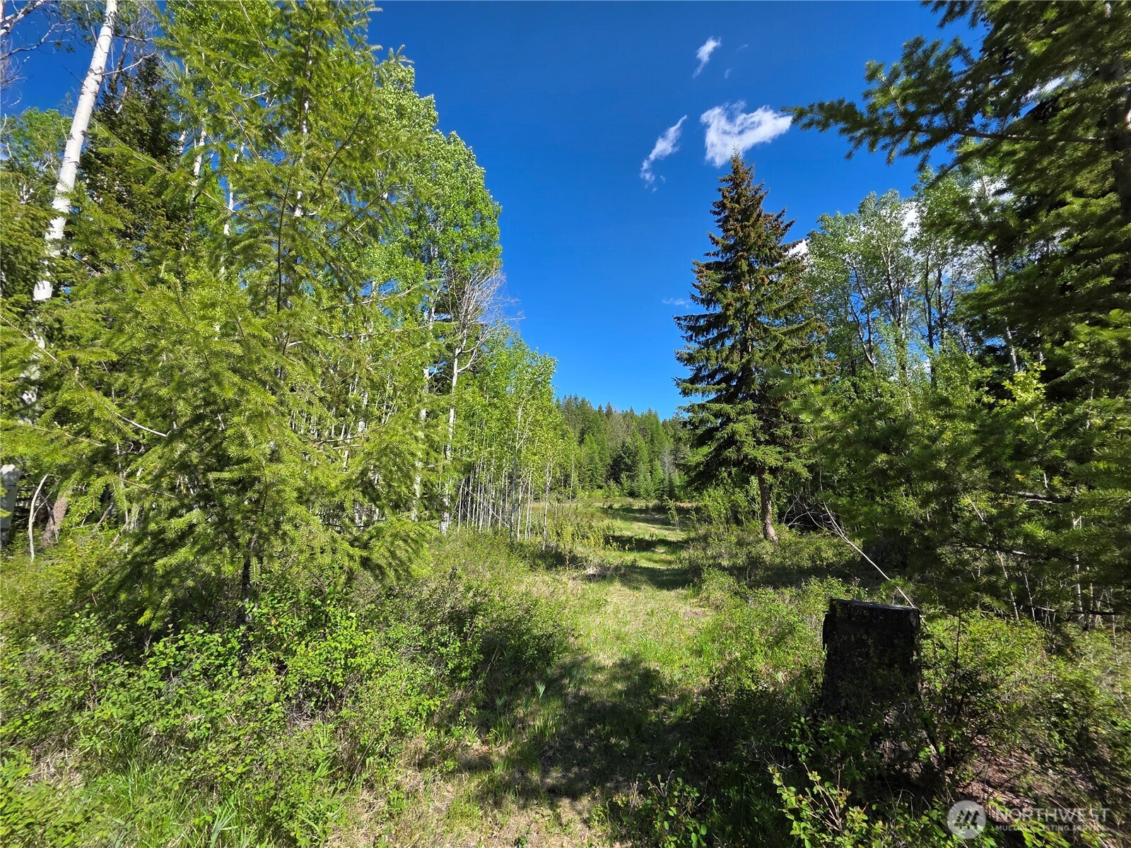 393 Summer Road Tonasket WA 98855