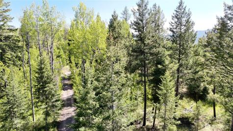 393 Summer Road Tonasket WA 98855