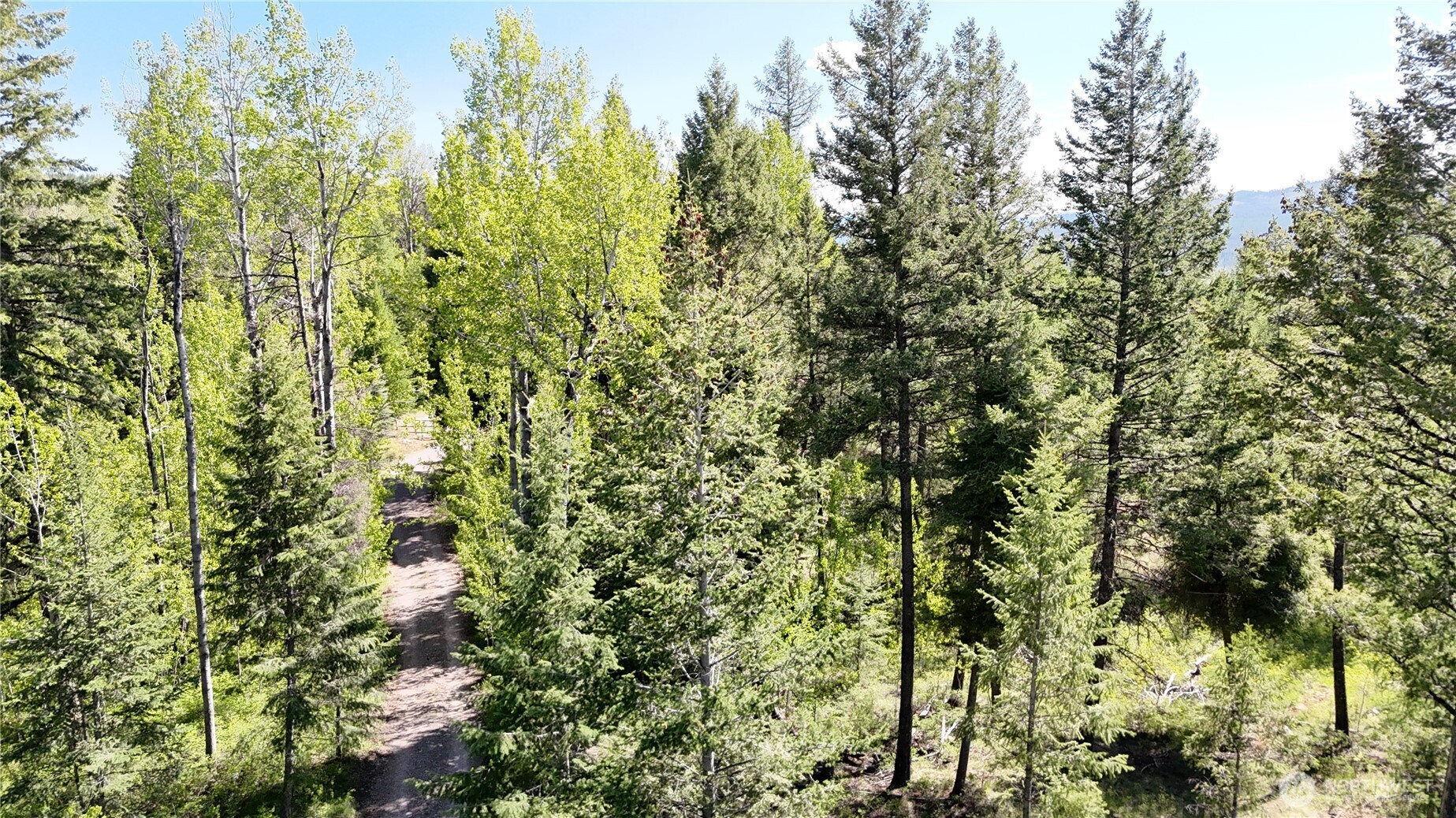393 Summer Road Tonasket WA 98855